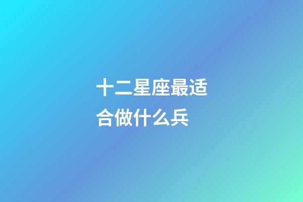 十二星座最适合做什么兵-第1张-星座运势-玄机派