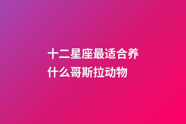 十二星座最适合养什么哥斯拉动物-第1张-星座运势-玄机派