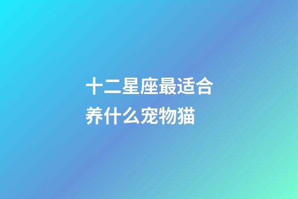 十二星座最适合养什么宠物猫-第1张-星座运势-玄机派