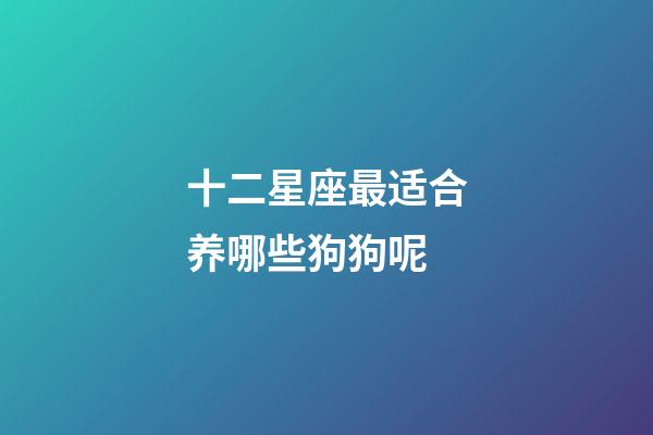十二星座最适合养哪些狗狗呢-第1张-星座运势-玄机派