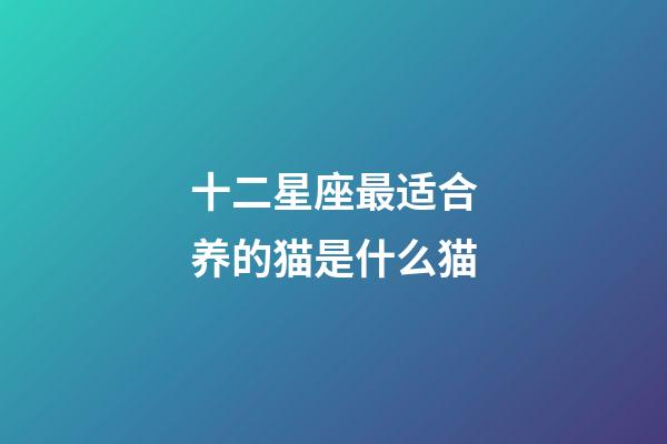 十二星座最适合养的猫是什么猫-第1张-星座运势-玄机派