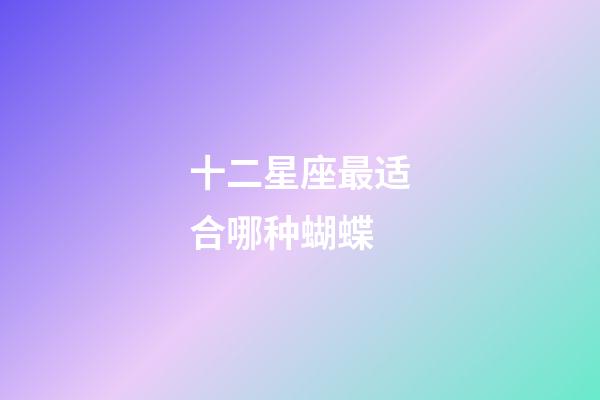 十二星座最适合哪种蝴蝶-第1张-星座运势-玄机派