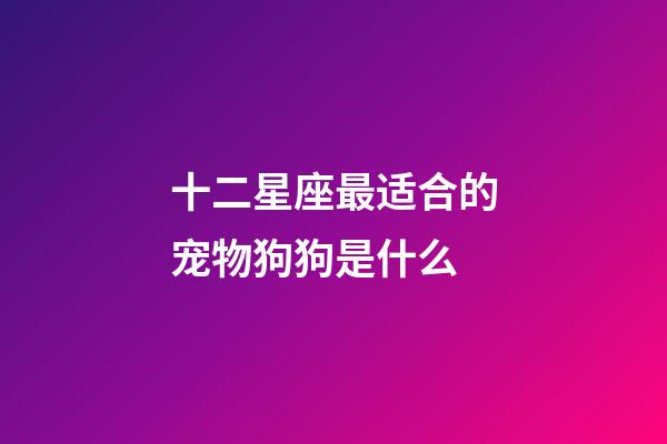 十二星座最适合的宠物狗狗是什么-第1张-星座运势-玄机派