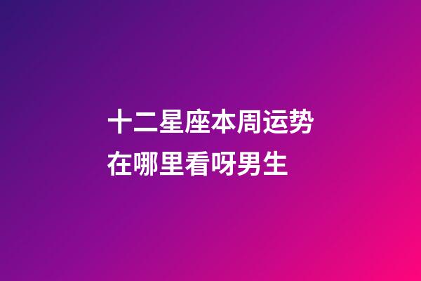 十二星座本周运势在哪里看呀男生-第1张-星座运势-玄机派