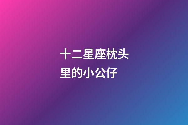 十二星座枕头里的小公仔