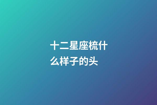 十二星座梳什么样子的头-第1张-星座运势-玄机派