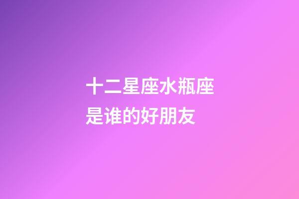 十二星座水瓶座是谁的好朋友-第1张-星座运势-玄机派