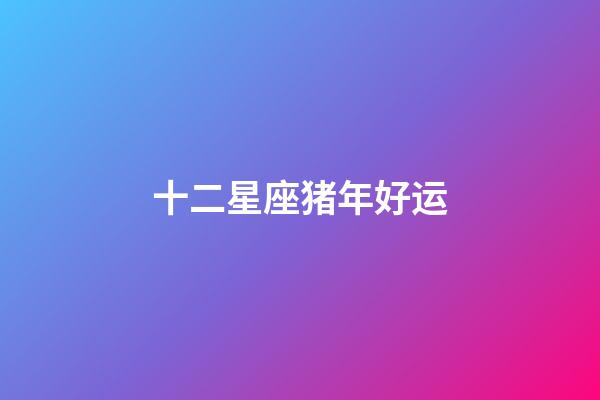 十二星座猪年好运