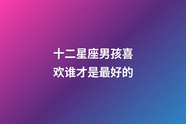 十二星座男孩喜欢谁才是最好的-第1张-星座运势-玄机派