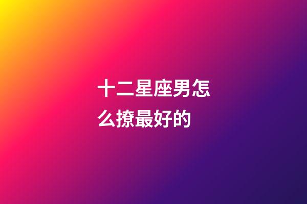 十二星座男怎么撩最好的-第1张-星座运势-玄机派
