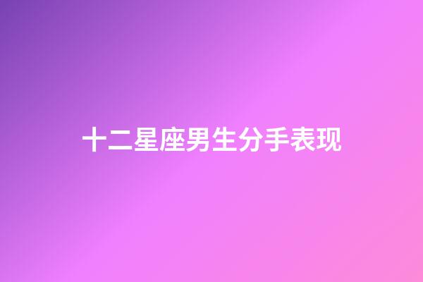十二星座男生分手表现-第1张-星座运势-玄机派