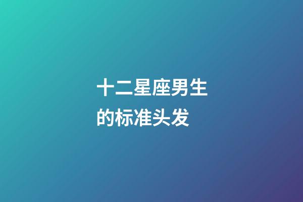 十二星座男生的标准头发-第1张-星座运势-玄机派