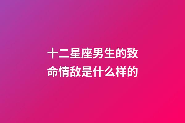 十二星座男生的致命情敌是什么样的-第1张-星座运势-玄机派