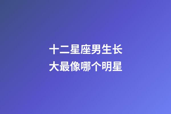 十二星座男生长大最像哪个明星-第1张-星座运势-玄机派