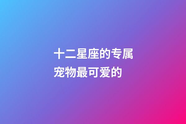 十二星座的专属宠物最可爱的-第1张-星座运势-玄机派