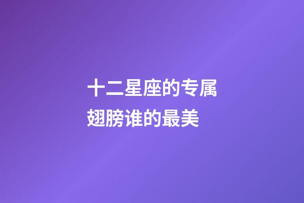 十二星座的专属翅膀谁的最美-第1张-星座运势-玄机派