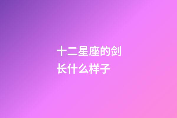 十二星座的剑长什么样子-第1张-星座运势-玄机派