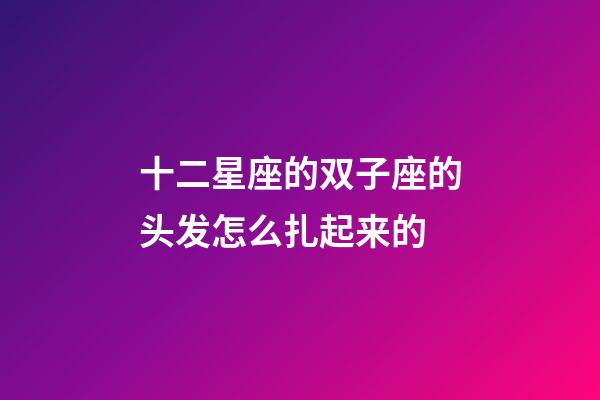 十二星座的双子座的头发怎么扎起来的-第1张-星座运势-玄机派