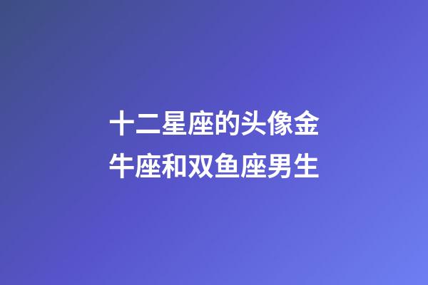 十二星座的头像金牛座和双鱼座男生-第1张-星座运势-玄机派