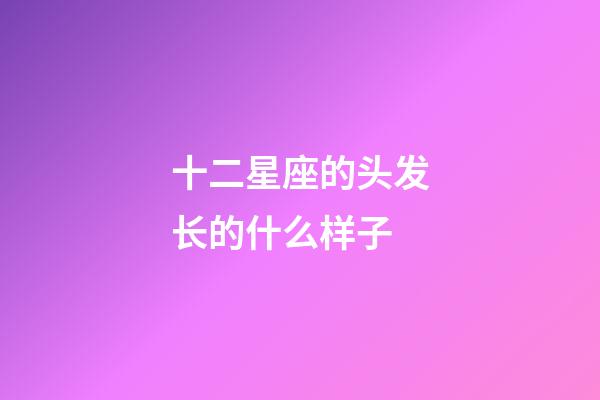 十二星座的头发长的什么样子-第1张-星座运势-玄机派