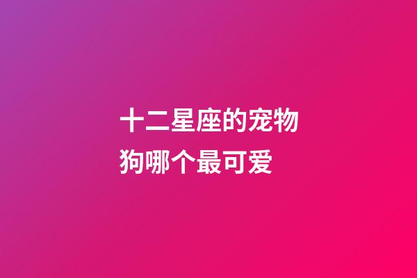 十二星座的宠物狗哪个最可爱-第1张-星座运势-玄机派