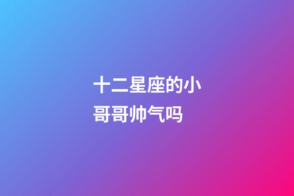 十二星座的小哥哥帅气吗-第1张-星座运势-玄机派