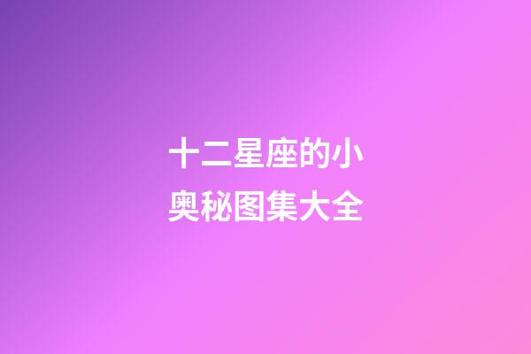 十二星座的小奥秘图集大全
