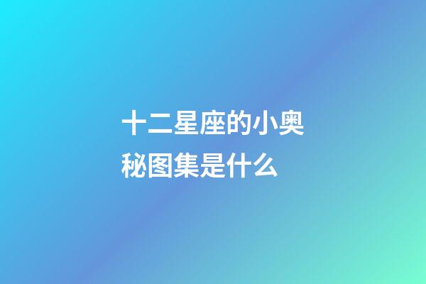 十二星座的小奥秘图集是什么