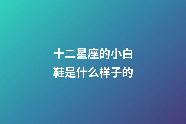 十二星座的小白鞋是什么样子的-第1张-星座运势-玄机派
