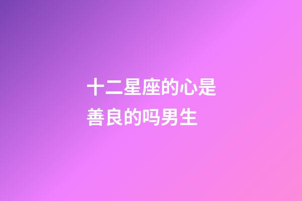 十二星座的心是善良的吗男生-第1张-星座运势-玄机派