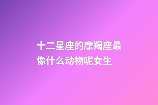 十二星座的摩羯座最像什么动物呢女生