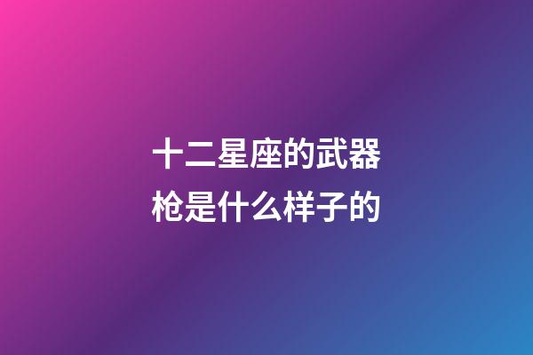 十二星座的武器枪是什么样子的-第1张-星座运势-玄机派