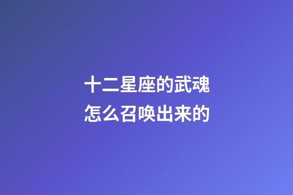 十二星座的武魂怎么召唤出来的-第1张-星座运势-玄机派