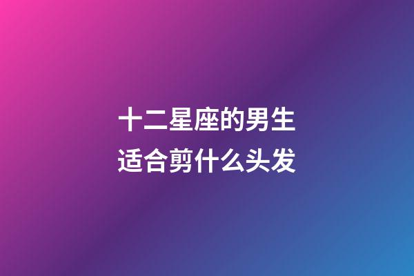 十二星座的男生适合剪什么头发-第1张-星座运势-玄机派