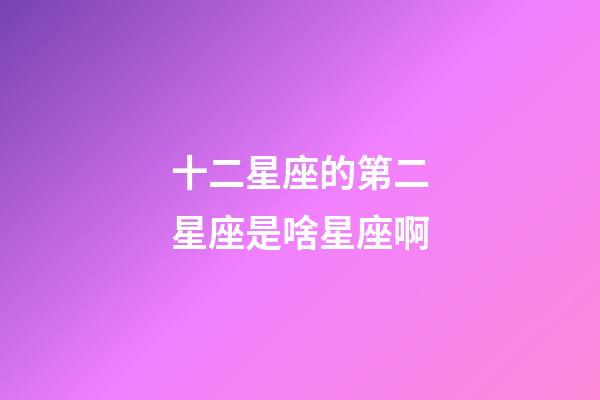 十二星座的第二星座是啥星座啊-第1张-星座运势-玄机派