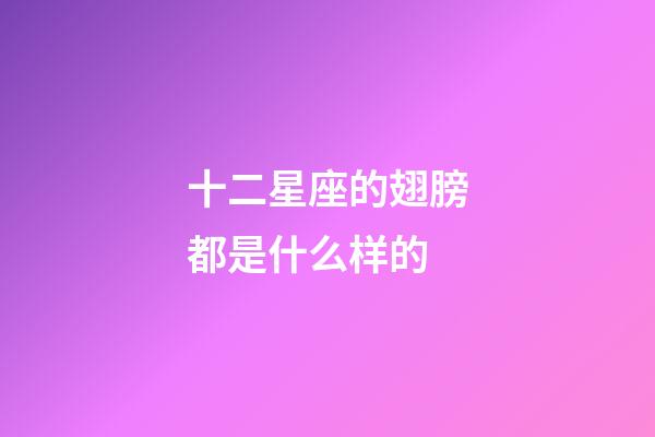 十二星座的翅膀都是什么样的-第1张-星座运势-玄机派