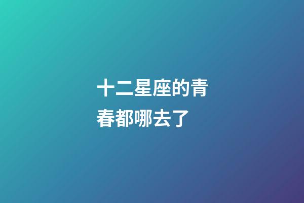 十二星座的青春都哪去了