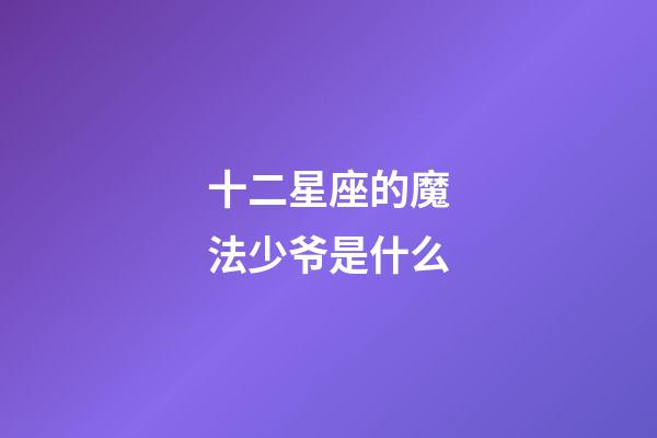 十二星座的魔法少爷是什么