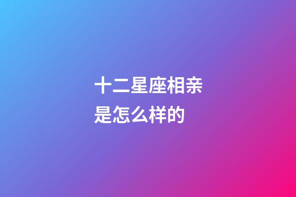 十二星座相亲是怎么样的-第1张-星座运势-玄机派