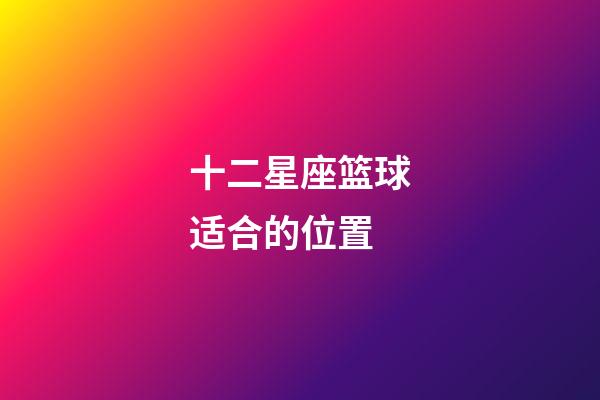 十二星座篮球适合的位置-第1张-星座运势-玄机派