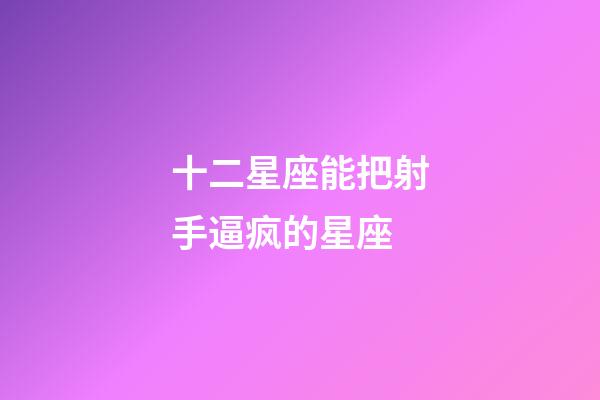 十二星座能把射手逼疯的星座-第1张-星座运势-玄机派