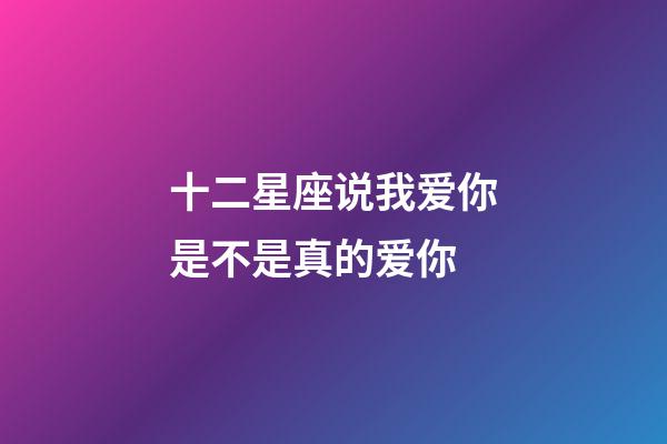 十二星座说我爱你是不是真的爱你-第1张-星座运势-玄机派