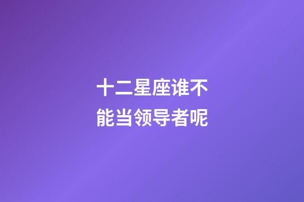十二星座谁不能当领导者呢-第1张-星座运势-玄机派