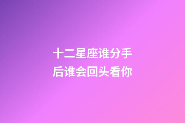 十二星座谁分手后谁会回头看你-第1张-星座运势-玄机派
