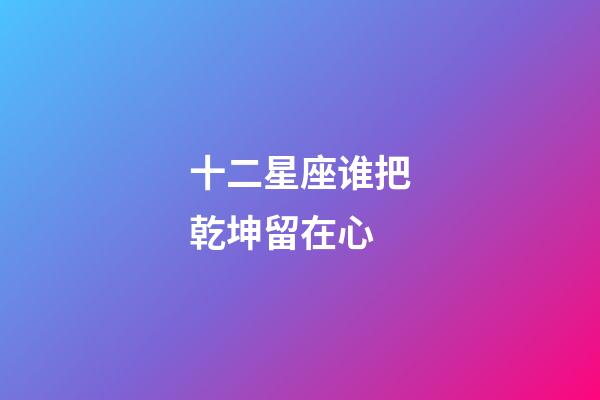 十二星座谁把乾坤留在心-第1张-星座运势-玄机派