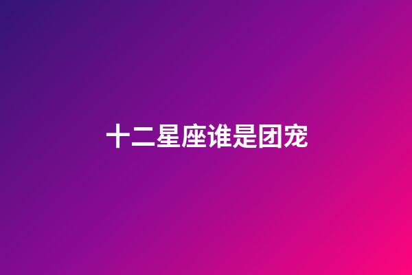 十二星座谁是团宠-第1张-星座运势-玄机派