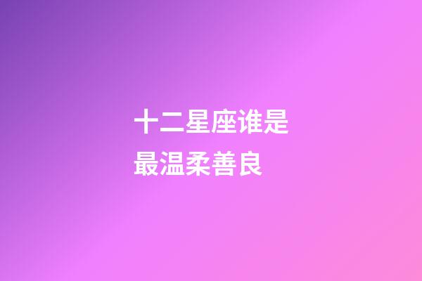 十二星座谁是最温柔善良-第1张-星座运势-玄机派