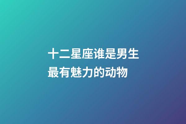 十二星座谁是男生最有魅力的动物-第1张-星座运势-玄机派