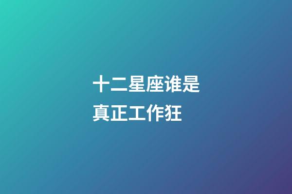 十二星座谁是真正工作狂-第1张-星座运势-玄机派