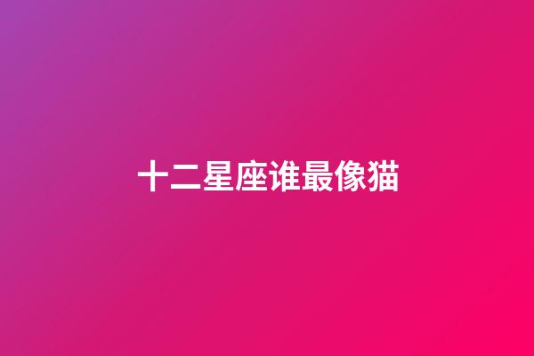 十二星座谁最像猫-第1张-星座运势-玄机派